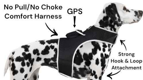 Realtime Pet Surveillance GSM GPS Tracker Dog Collar Portable Locator Size:M