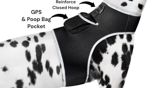Quality Portable Mini GPS Dog Tracking Collar Mount Waterproof Tracker Size:M