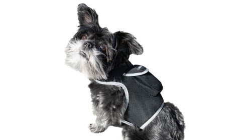 Realtime Reliable Tracking with Portable GPS Pet Surveillance Tracker Size:M