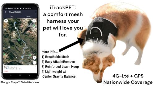Realtime GPS Pet Locating System Portable Waterproof Mini GSM Tracker Size:M