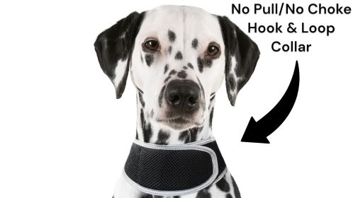 Portable Waterproof Realtime GSM Tracker with GPS for Dog Collar Mount Size:M