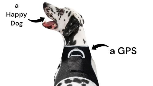 Quick Track Collar GPS GPRS GSM Waterproof Pet Tracking Device w/ App Size:M